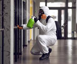 Mold Remediation for Rental Properties in Belle, WV